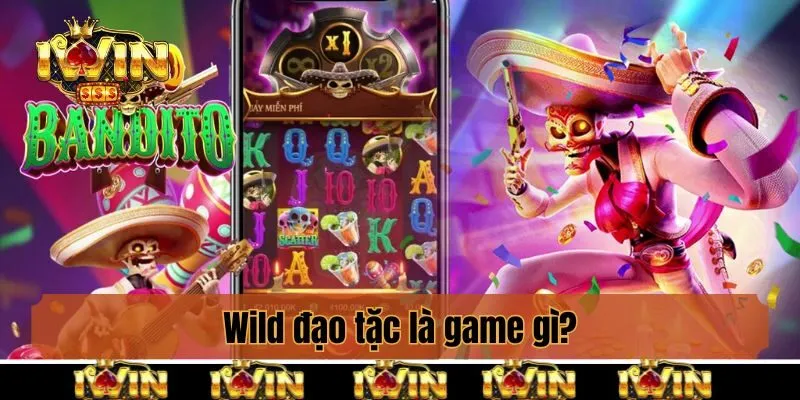 Wild đạo tặc là game gì?